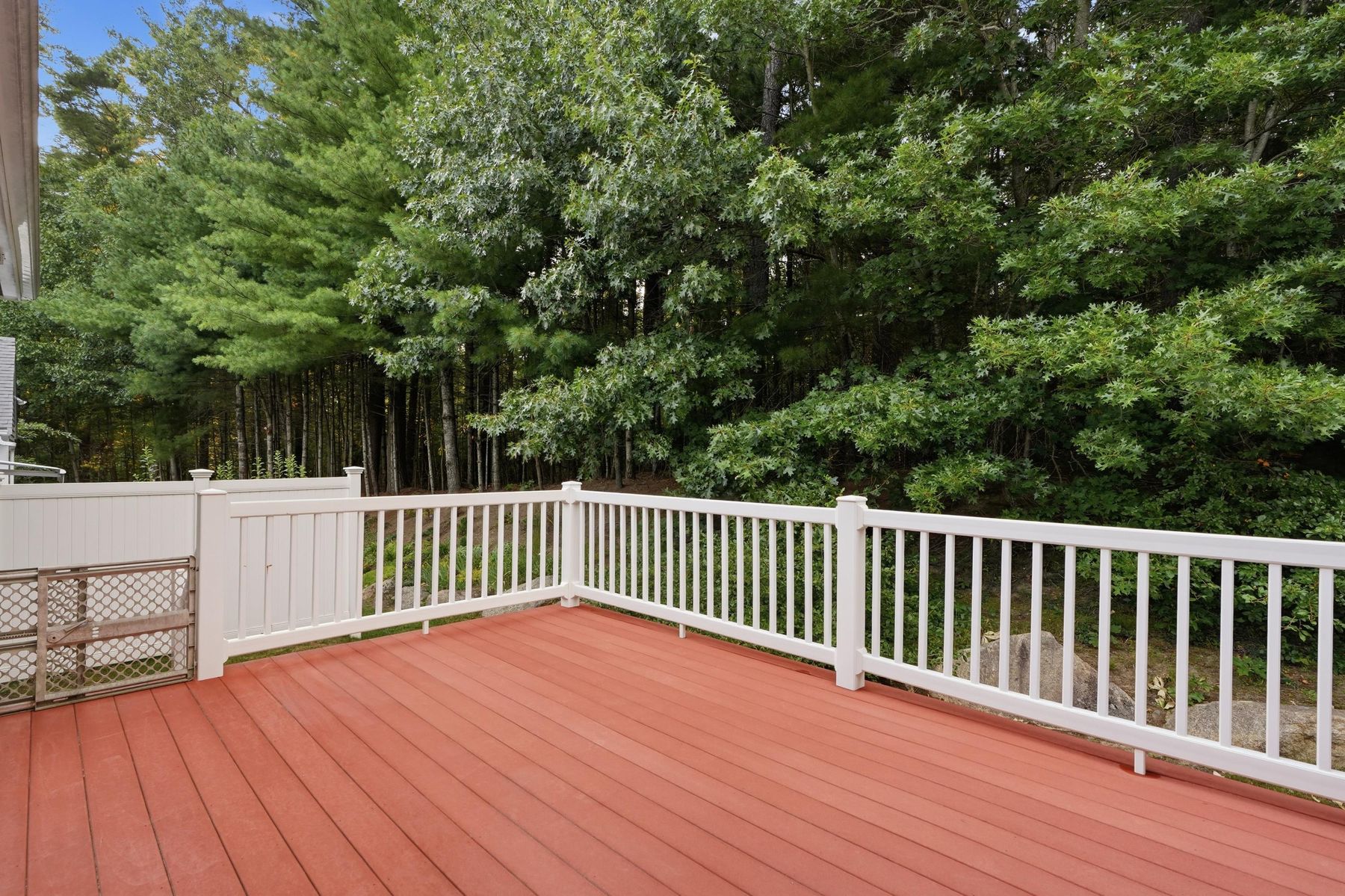 Deck overlooking wooded green space
