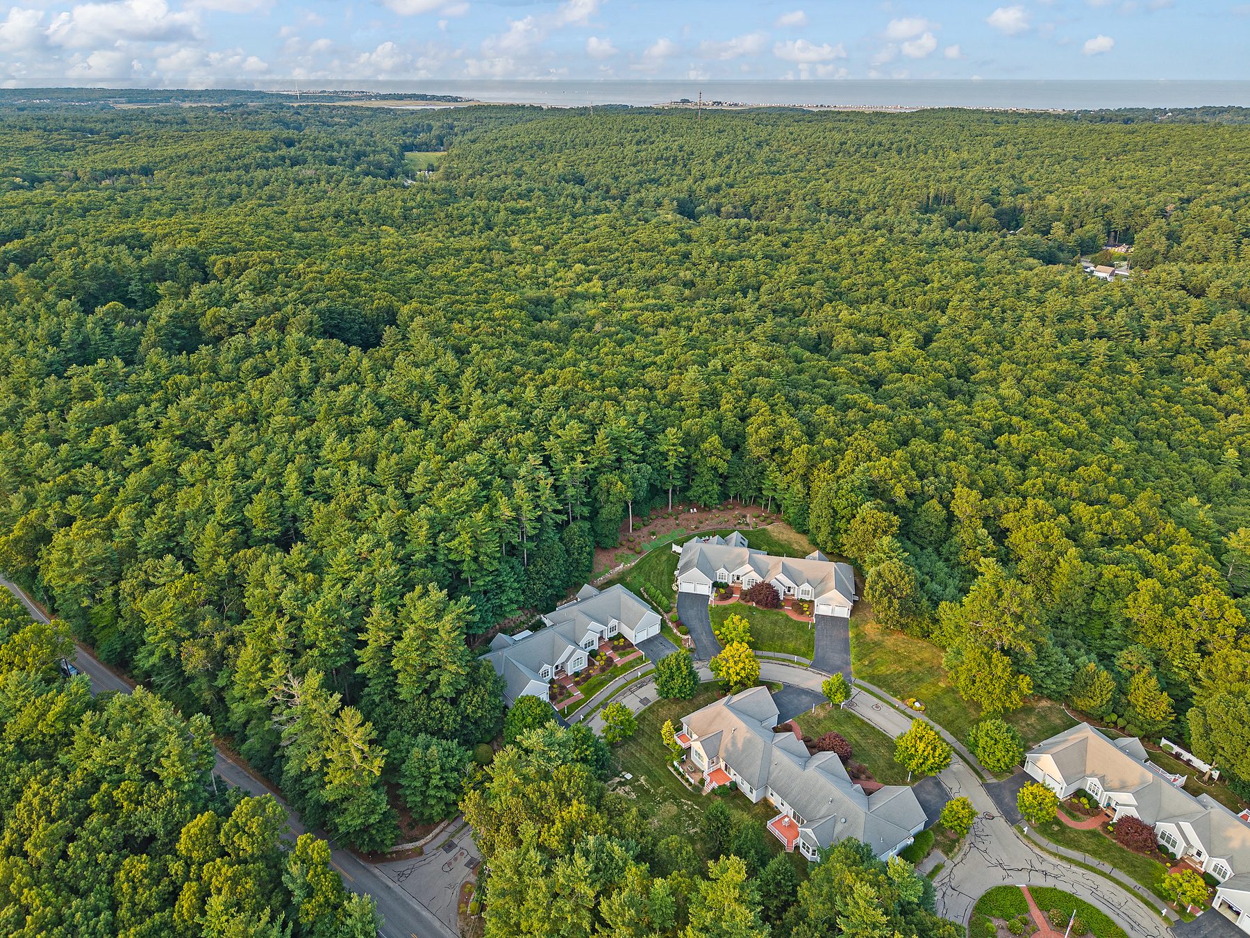 Aerial over the treetops of the Overlook Farm community